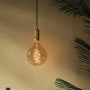 Ampoule LED à filament spirale grand Globe Doré 8.5 W E27 - Nordlux