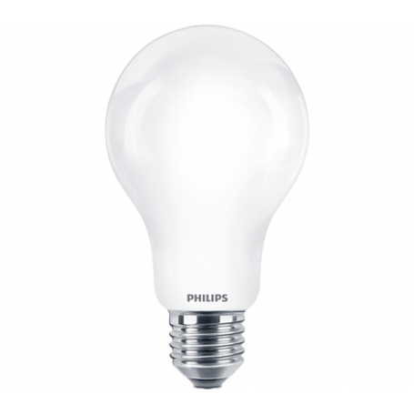 Ampoule LED E27 17.5 W Standard - Philips