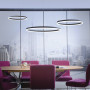 Suspension LED Titus 60 cm intensité variable - Paul Neuhaus