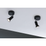 Spot orientable Carolina - Paulmann