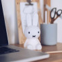 Veilleuse Miffy Bundle of Light - Mr Maria