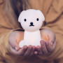 Veilleuse Snuffy Bundle of Light - Mr Maria