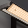 Applique orientable à LED CCT Pare TW - Fischer & Honsel