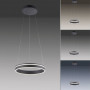 Suspension LED Q-Vito Smart Home 40 cm - Paul Neuhaus