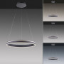 Suspension LED Q-Vito Smart Home 59 cm - Paul Neuhaus