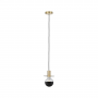 Ampoule LED Globe Calotte noire 6.5 W - Paulmann