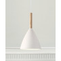 Suspension Pure diamètre 20 cm - Nordlux