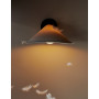Applique Plume en polycarbonate - DCW Editions