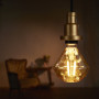Ampoule LED filament Vintage Edition 1906 Diamant Doré OSRAM