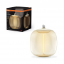 Ampoule LED filament Vintage Edition 1906 Big Oval 25 OSRAM Ambre