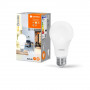 Ampoule LED Smart+ Standard Givre 12 W E27 Connectée WIFI Sun@Home Ledvance