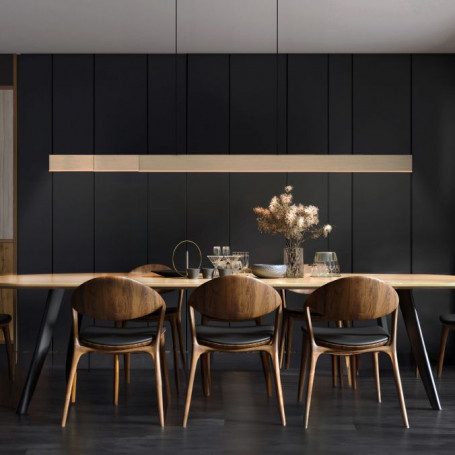 Suspension LED CCT Pure-Moto-Rise télécommande - Paul Neuhaus