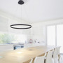 Suspension LED Titus 60 cm intensité variable - Paul Neuhaus
