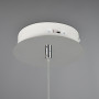 Suspension LED Flynt - Trio Lighting