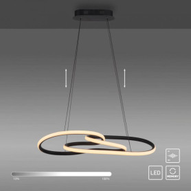 Suspension LED Variable Twist - Paul Neuhaus