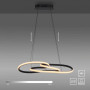 Suspension LED Variable Twist - Paul Neuhaus