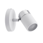 Spot orientable Zyli salle de bain - Paulmann