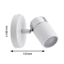 Spot orientable Zyli salle de bain - Paulmann