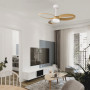 Ventilateur de plafond à éclairage LED Infinity - Mantra