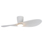 Ventilateur de plafond LED Surfer - Mantra