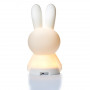Lampe veilleuse LED Miffy First Light - Mr Maria