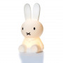 Lampe veilleuse LED Miffy First Light - Mr Maria