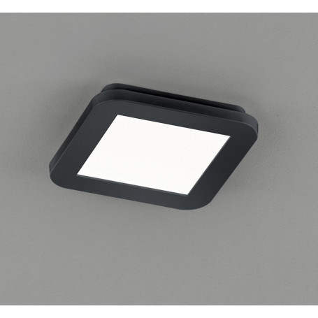 Plafonnier LED Camillus 10W - Trio Leuchten