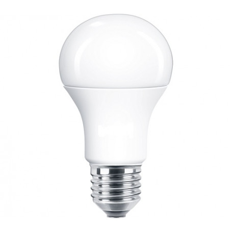 Ampoule LED Standard E27 Dimmable